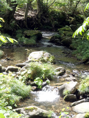 小槌川の流れ